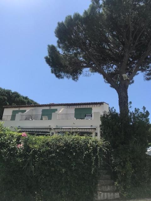 Studio Bellevue Cogolin Exterior foto